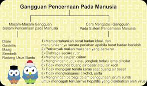 Gangguan Pencernaan Pada Manusia Siswapedia