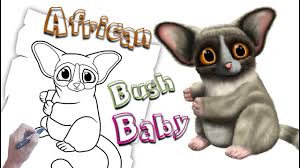 Over 20 people have this in their cart. African Animals How To Draw A Bush Baby Easy Youtube