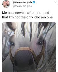 Sso Dewy Rp S Photo Giuly Starstable Sso Ssoonly Starstableonline Fjord Fjordmeme Meme Me Star Stable Funny Horse Memes Star Stable Horses