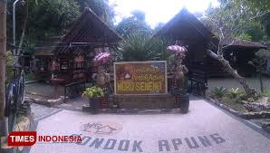 Check spelling or type a new query. Lezatnya Patin Koyong Menu Spesial Rumah Makan Pondok Apung Rogojampi Times Indonesia