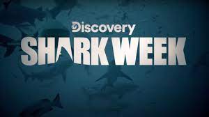 Maybe you would like to learn more about one of these? Shark Week 2021 Starts Sunday 7 11 2021 Here S The Complete Schedule Silive Com