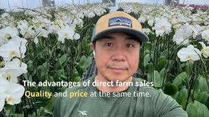 Preparing for Spring Containers