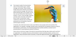 In vocative texts, if a communicative translation is pursued then equivalent effect will be sought. Text Wrap Computer Applications For Managers