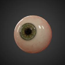 Eyeball 3d Model Obj Fbx Ma Mb 1 Human Eyeball Eyeball Art Eye Texture