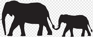 Check spelling or type a new query. Indian Elephant African Elephant Silhouette Baby Elephant Mammal Vertebrate Grass Png Pngwing