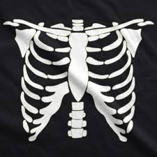There are only four different types of corpse parts in the game as of now, those being the rib cage, pelvis, left arm, and the heart. Glowing Skeleton Rib Cage Halloween Women S Tshirt Crazy Dog T Shirts
