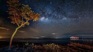 Fondos de pantalla para pc. Fondos De Pantalla 1920x1080 Via Lactea Estrella Cielo Noche Arboles Naturaleza Descargar Imagenes
