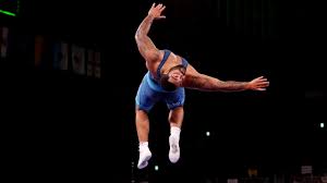 Gable steveson did a backflip after securing olympic gold (valery sharifulin\tass via getty images) Badadomwmgwplm