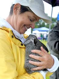 Poultry swap and other local photos