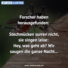 Forscher Haben Herausgefunden Stechmucken Surren Nicht Sie Singen Leise Hey Was Geht Ab Wir Saugen Die Ganze Nacht Witzige Spruche Lustig Lustige Spruche