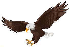 Eagles Clipart File 306 Burung Rajawali Gambar Burung Gambar