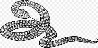 Gambar zirafah kartun clipart best. Kingsnakes Ular Hitam Dan Putih Gambar Png