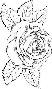 Pin By Young Mexicano Del Barrio On Dibujos Leaf Coloring Page Rose Coloring Pages Tattoo Outline Drawing