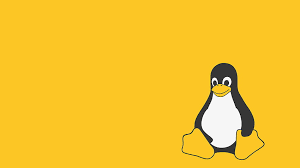 Image result for linux penguin wallpaper