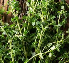 Fresh or english thyme are used most often in cooking. English Thyme Calloway S Nursery