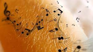 Download musik online, download mp3 mudah dan cepat. Woher Kommt Die Gansehaut Wenn Musik Unter Die Haut Geht Br Klassik Br Klassik Bayerischer Rundfunk
