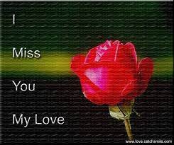 Forget me not flower card. 22 Wonderful Miss You Love Pictures