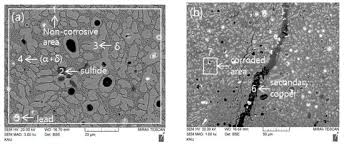 Mata mines menjadi pegawai indomaret; Applied Sciences March 1 2021 Browse Articles