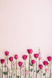 I've got all your color needs so head over to my guides here: Pink Roses On A Pink Background By Ruth Black Rose Background