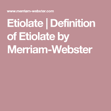 Etiolate Definition Of Etiolate By Merriam Webster Definitions Merriam Webster Discrimination