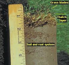 For most lawns, dethatching every third year will be sufficient. Reno Lawn Dethatching Cory S Lawn Service Residential Lawn Care Reno Sparks Cory S Lawn Service