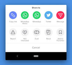 Copy the video link on your smartphone / computer · 3. Download Tiktok Videos Without Watermark The Real Way