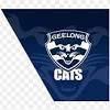 The cats will need to draw on their nine lives if they hope to succeed in 2019, with nine gmhba stadium clashes shaping up as crucial encounters in the context of the season. Https Encrypted Tbn0 Gstatic Com Images Q Tbn And9gcr6y Xztcyzdcnjfles Oqatmjhjxcrfibhue1a73aqkahc Gnm Usqp Cau