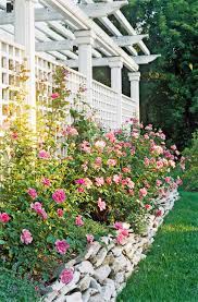 The method i use for training my monstera vines is affixing them against a sturdy metal trellis like the panacea garden ladder. 19 Beautiful Trellis Fence And Screen Ideas To Turn Your Yard Into A Private Escape Better Homes Gardens