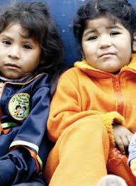 Guía de recursos pedagógicos para el apoyo socioemocional frente a  situaciones de desastre: la experiencia de Ica: Fuerte como