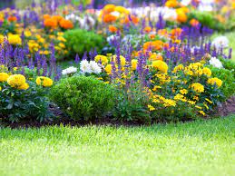 Flower Gardening How To Start A Flower Garden
