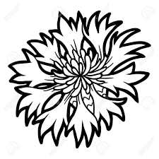 Resultat De Recherche D Images Pour Coloriage Bleuet Resimler Illustrasyon Fotograf