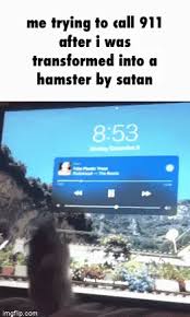 Hamster meme compilation follow us on www.tiktok.com/@likehamstershow instagram thank you guys for watching my videos and i hope you like that video i know it's so funny video and bye love you guys. Hamster 9gag