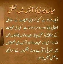 Husband Wife Wise Quotes Husband Quotes Husband Quotes From Wife