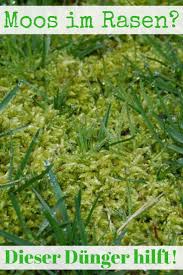 Iron Fertilizer Diygardeneasyplants Fertilizer Iron Moos Im Rasen Rasen Eisendunger