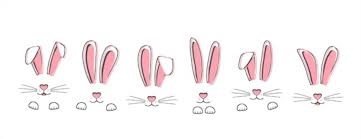 Roll tops of frosted cupcakes in coconut to cover. How To Draw A Bunny Face Felix Furniture