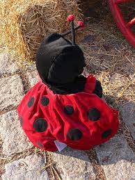 Vervollständigt wird das häschenkostüm durch einen weißen. Die Besten Diy Ideen Fur Last Minute Faschingskostume 2017