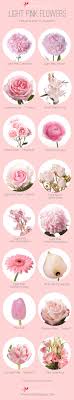 Mar 15, 2021 · with so many types of flowers to pick from, where does one even begin? Flowers Drawings Inspiration We Ve Put Together Our List Of Favorite Light Pink Flowers To Inspire You To Flowers Tn Leading Flowers Magazine Daily Beautiful Flowers For All Occasions