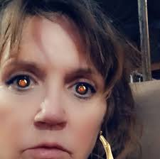 What to do with 4 baby raccoons after their mother was found dead?