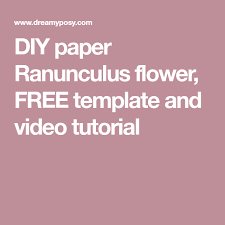 Diy Paper Ranunculus Flower Free Template And Video Tutorial Diy Paper Videos Tutorial Crepe Paper Flowers Tutorial