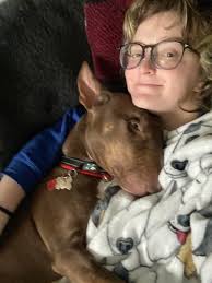 Bull Terrier Breed Review 💪