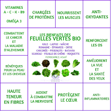 Feuilles Vertes Sante Sante Nutrition Remedes Naturels