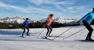 how to choose cross country ski poles