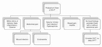 Image result for Postpartum Fever