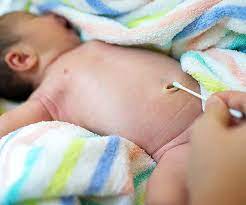 Only give your newborn sponge baths until the stump of the umbilical cord falls off, which usually happens by about one or two weeks of age. How To Clean Baby S Belly Button Parents