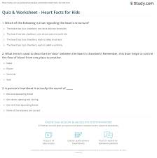 Does anyone else feel like after you walk a few feet that you start to breath heavily and your heart starts to ra. Quiz Worksheet Heart Facts For Kids Study Com