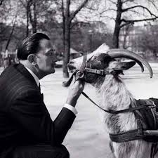 Dali 1953 Face A Face Au Jardin Des Champs Elysees Pres Du Theatre Marigny Depuis Paris Et Dali Salvador Dali El Arte De Salvador Dali El Salvador