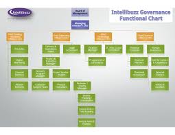 Intellibuzz Organization Chart By Intellibuzz Issuu