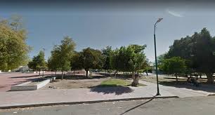 Ropa para mascotas confeccionada con y por amor a nuestros más fieles compañeros!! Invitan A Sumarse A Limpieza Y Reforestacion Del Parque 16 De Septiembre En Hermosillo