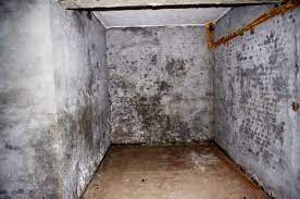 For use on most damp basements, i recommend drylok extreme basement and masonry waterproofer, which is guaranteed to protect against water leaks, seepage, and surface dampness.simply roll or brush. How Do I Damp Proof My Basement Or Cellar