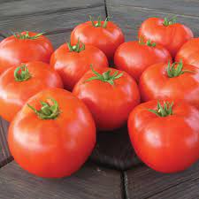Mountain Merit F1 Tomato Seed Johnny S Selected Seeds Tomato Seeds Gardening For Beginners Tomato Garden
